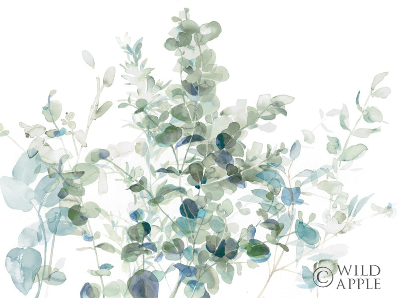 Reproduction of Eucalyptus I Cool by Danhui Nai - Wall Decor Art