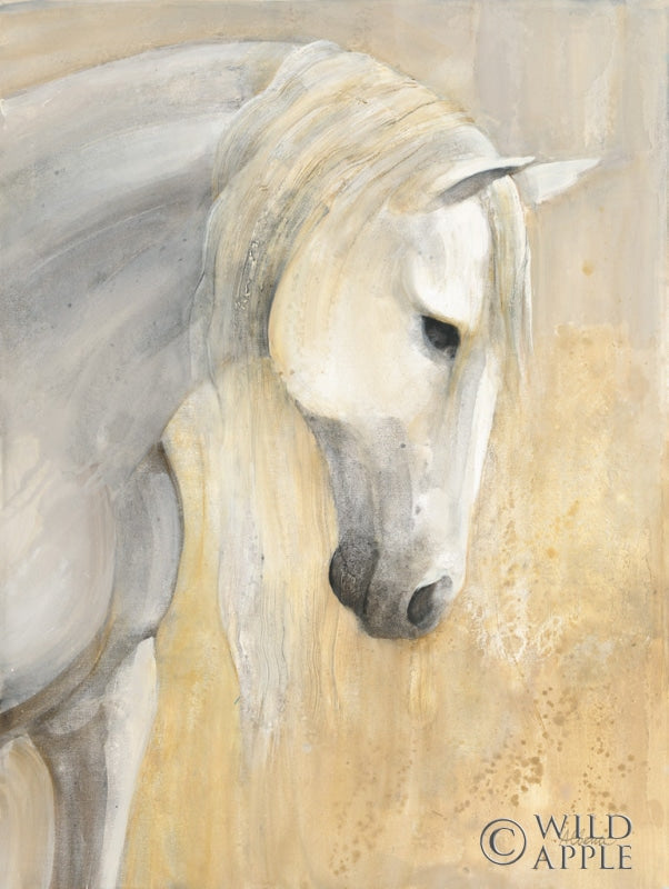 Reproduction of Calm by Albena Hristova - Wall Decor Art