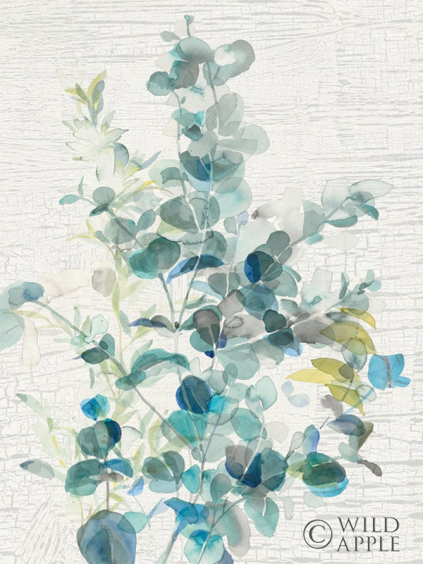 Reproduction of Eucalyptus IV Vintage by Danhui Nai - Wall Decor Art