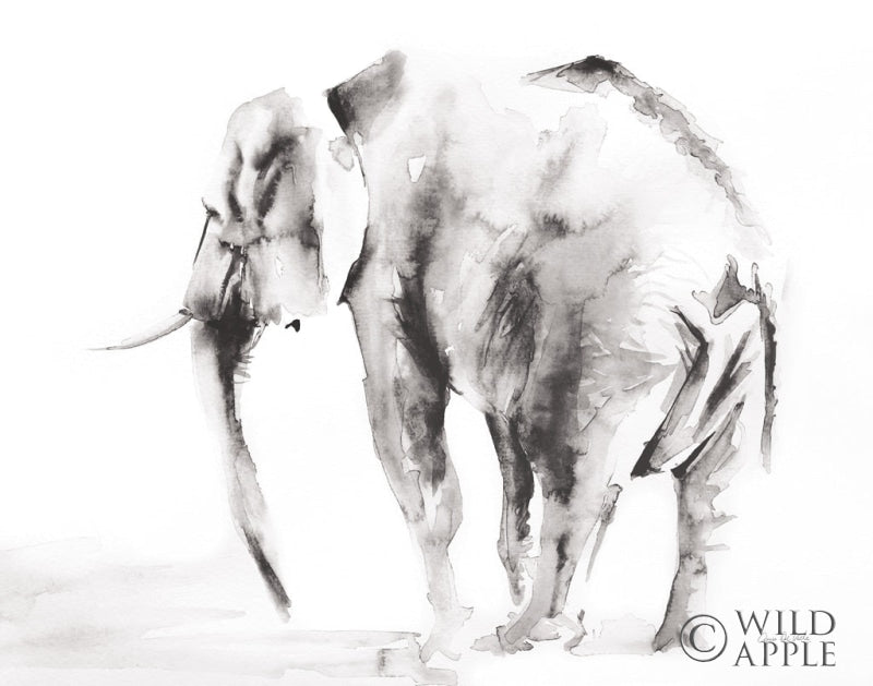 Reproduction of Lone Elephant Gray Crop by Aimee Del Valle - Wall Decor Art