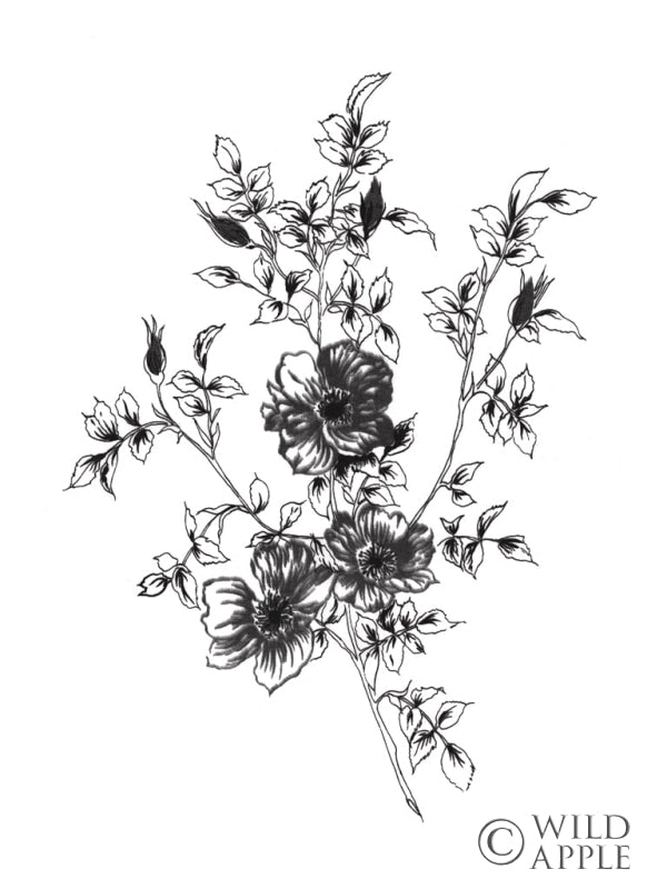 Reproduction of Sketchbook Flowers on White II Crop by Wild Apple Portfolio - Wall Decor Art