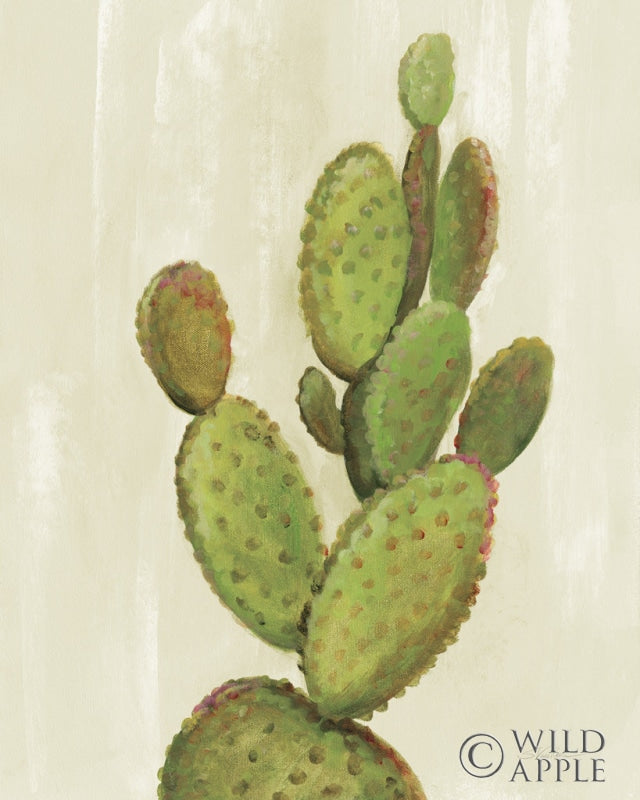 Reproduction of Front Yard Cactus I by Silvia Vassileva - Wall Decor Art