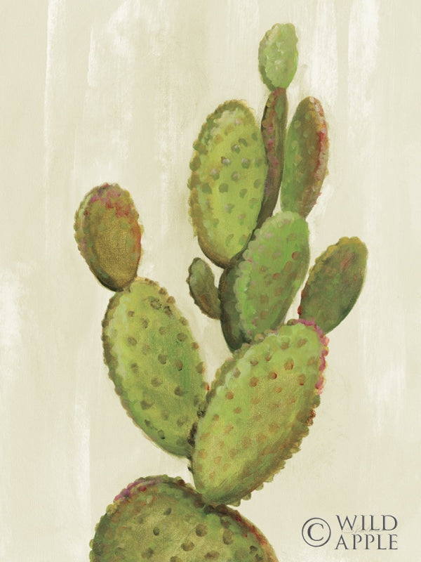 Reproduction of Front Yard Cactus I Crop by Silvia Vassileva - Wall Decor Art