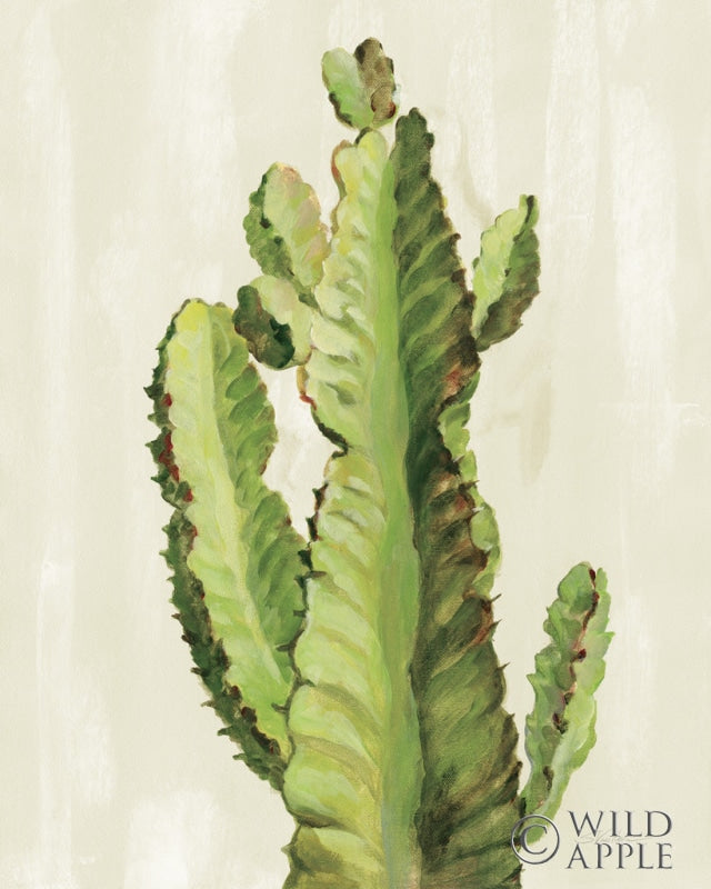 Reproduction of Front Yard Cactus II by Silvia Vassileva - Wall Decor Art