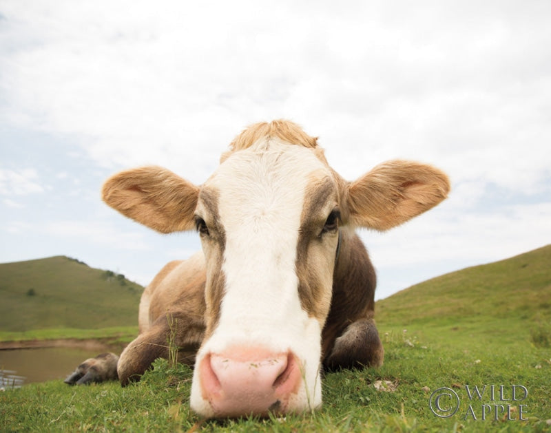 Reproduction of Close Up I v2 no Cows Crop by Aledanda - Wall Decor Art