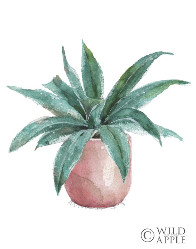 Reproduction of Mixed Greens Succulent I by Lisa Audit - Wall Decor Art