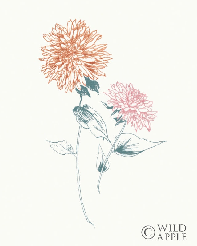 Reproduction of Flowers on White IV Contemporary Bright by Wild Apple Portfolio - Wall Decor Art