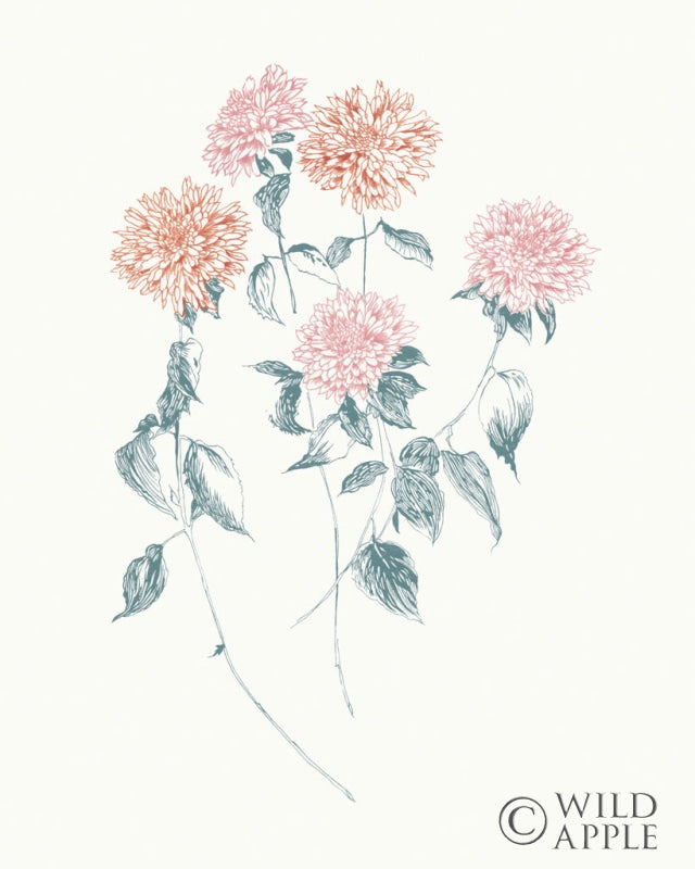 Reproduction of Flowers on White VI Contemporary Bright by Wild Apple Portfolio - Wall Decor Art