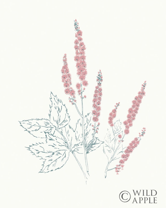 Reproduction of Flowers on White VII Contemporary Bright by Wild Apple Portfolio - Wall Decor Art