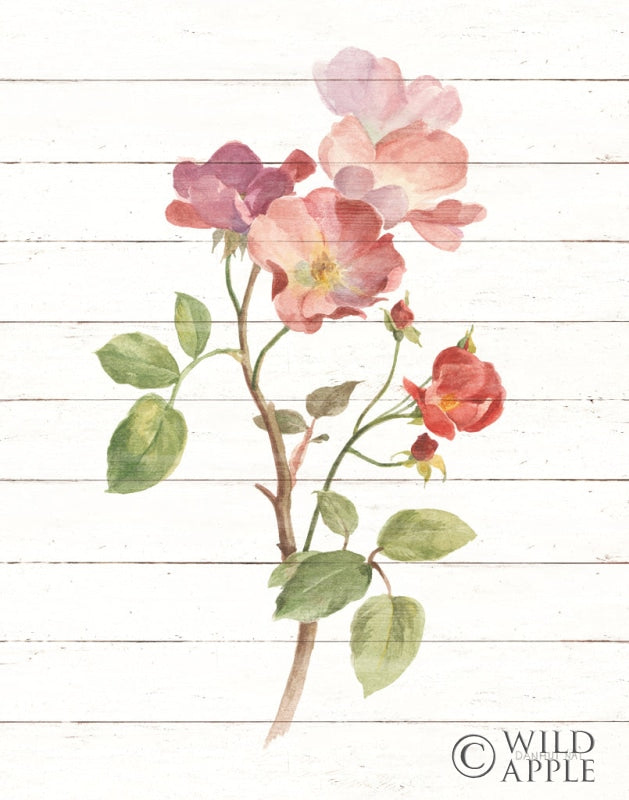 Reproduction of Sprigs of Summer I by Danhui Nai - Wall Decor Art