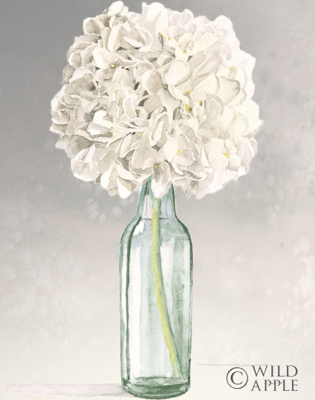 Reproduction of Tranquil Blossoms II Green Crop by James Wiens - Wall Decor Art