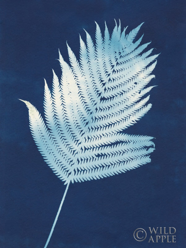 Reproduction of Nature By The Lake - Ferns III by Piper Rhue - Wall Decor Art