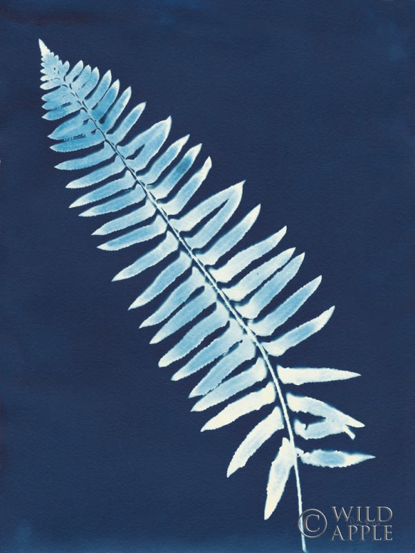 Reproduction of Nature By The Lake - Ferns IV by Piper Rhue - Wall Decor Art