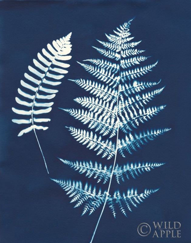 Reproduction of Nature By The Lake - Ferns V Crop by Piper Rhue - Wall Decor Art