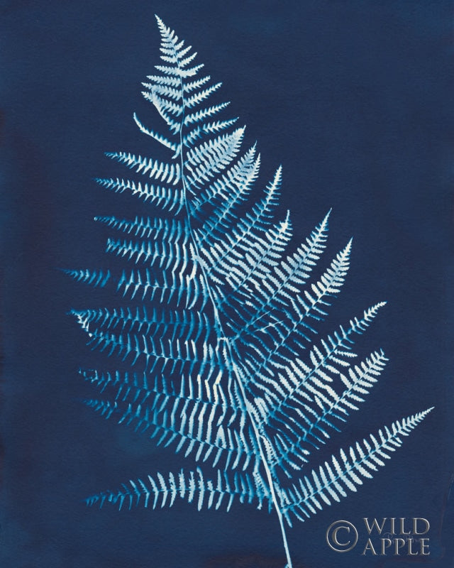 Reproduction of Nature by the Lake Ferns VI Crop by Piper Rhue - Wall Decor Art