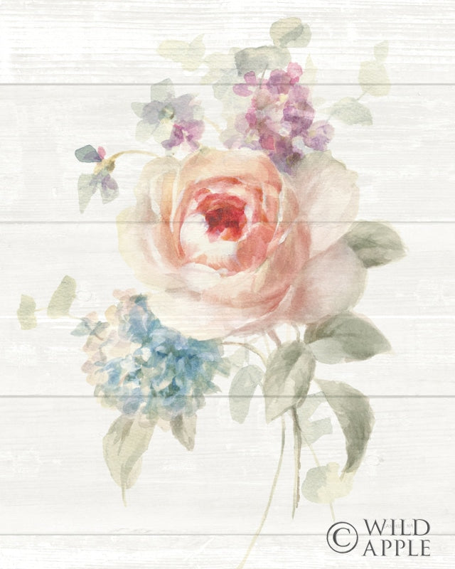 Reproduction of Cottage Garden III Shiplap by Danhui Nai - Wall Decor Art