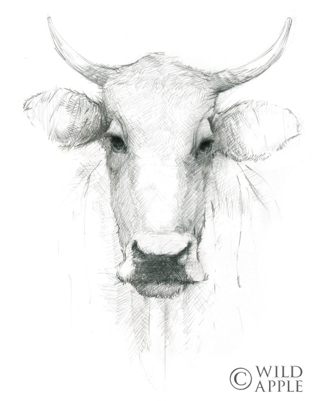 Reproduction of Cow Sketch by Avery Tillmon - Wall Decor Art
