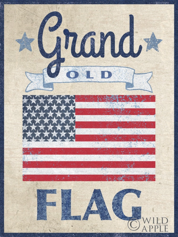 Reproduction of Grand Old Flag Dark by Beth Grove - Wall Decor Art