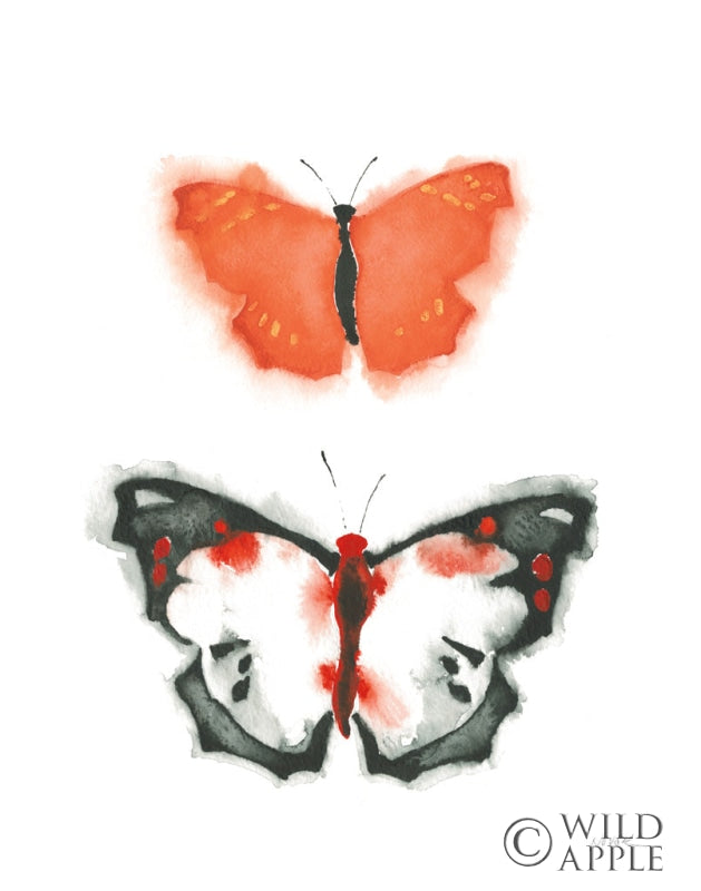 Reproduction of Watercolor Butterflies III by Shirley Novak - Wall Decor Art