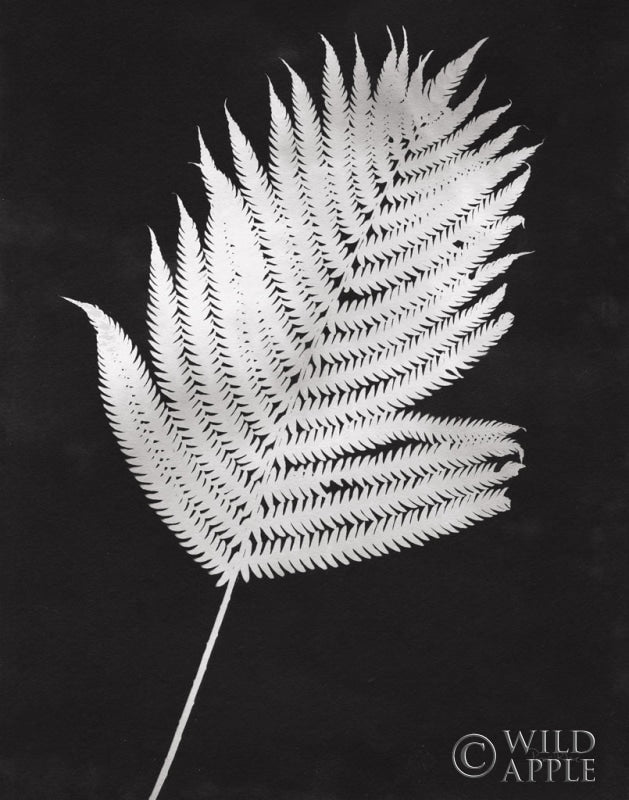 Reproduction of Nature by the Lake Ferns III Black Crop by Piper Rhue - Wall Decor Art