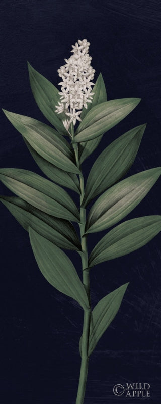 Reproduction of Dramatic Tropical III Light Crop by Sue Schlabach - Wall Decor Art