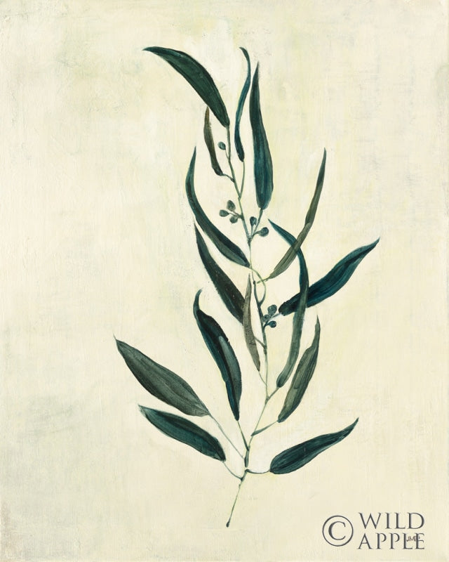 Reproduction of Botanical Study VI by Julia Purinton - Wall Decor Art