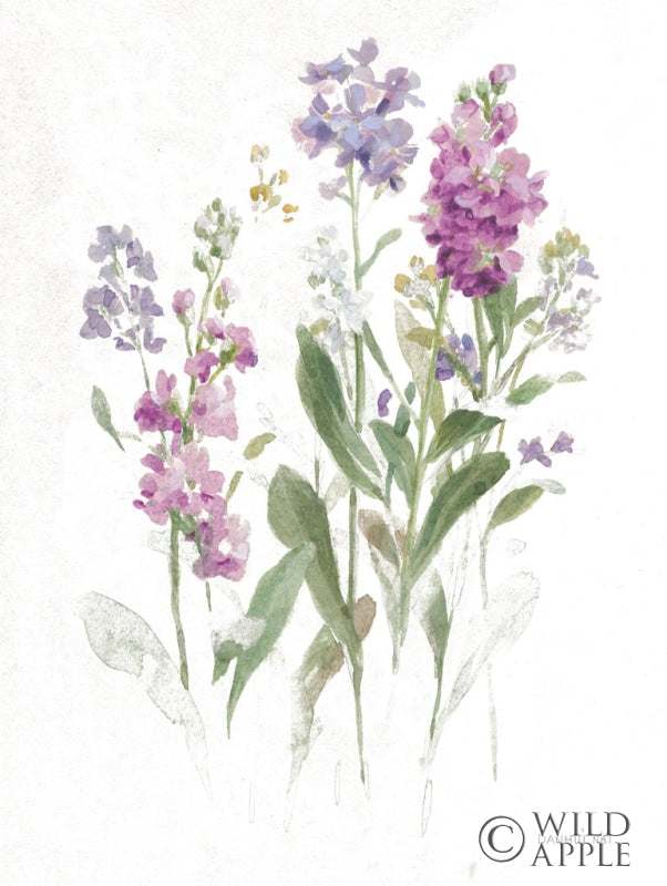 Reproduction of Sprigs of June II White by Danhui Nai - Wall Decor Art