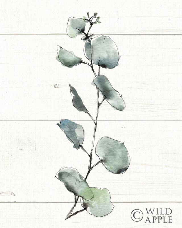 Reproduction of Modern Famhouse XV v2 by Anne Tavoletti - Wall Decor Art