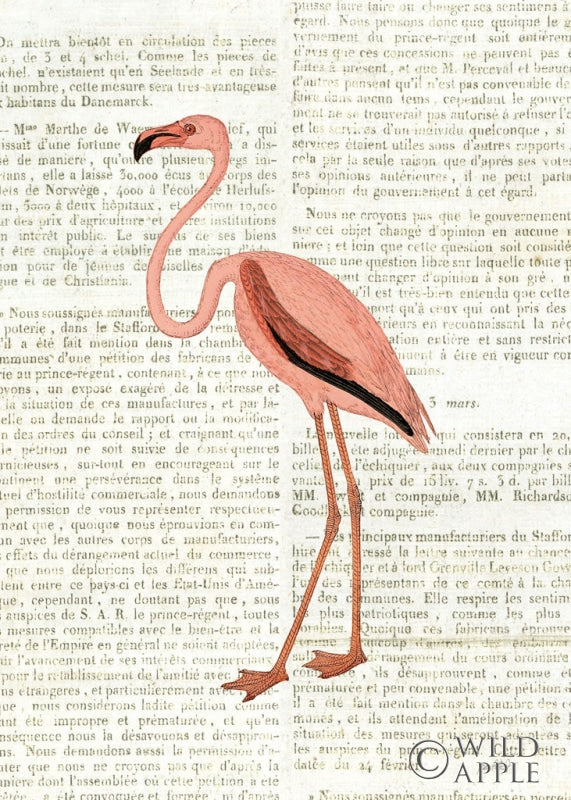 Reproduction of Floridian IV Newsprint by Katie Pertiet - Wall Decor Art