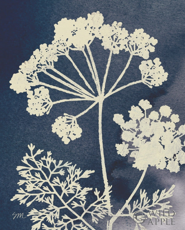 Reproduction of Dark Blue Sky Garden II by Studio Mousseau - Wall Decor Art