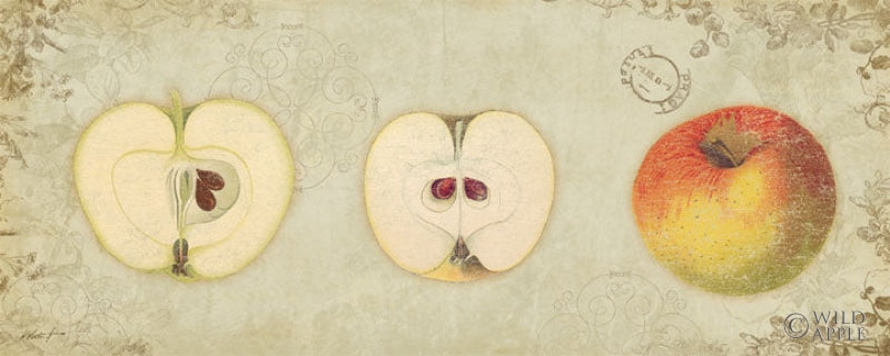 Reproduction of Apple Trio by Katie Pertiet - Wall Decor Art