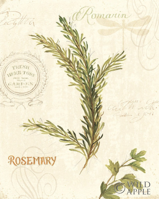 Reproduction of Aromantique II by Lisa Audit - Wall Decor Art