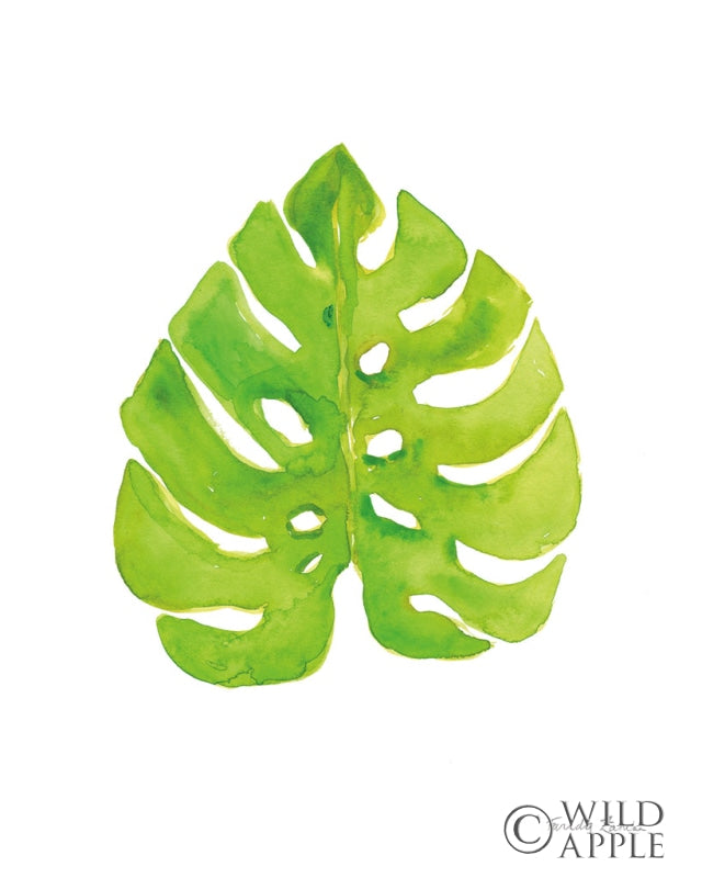 Reproduction of Fresh and Green I by Farida Zaman - Wall Decor Art