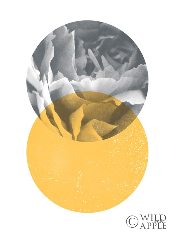 Reproduction of Blossoms I v2 by Moira Hershey - Wall Decor Art