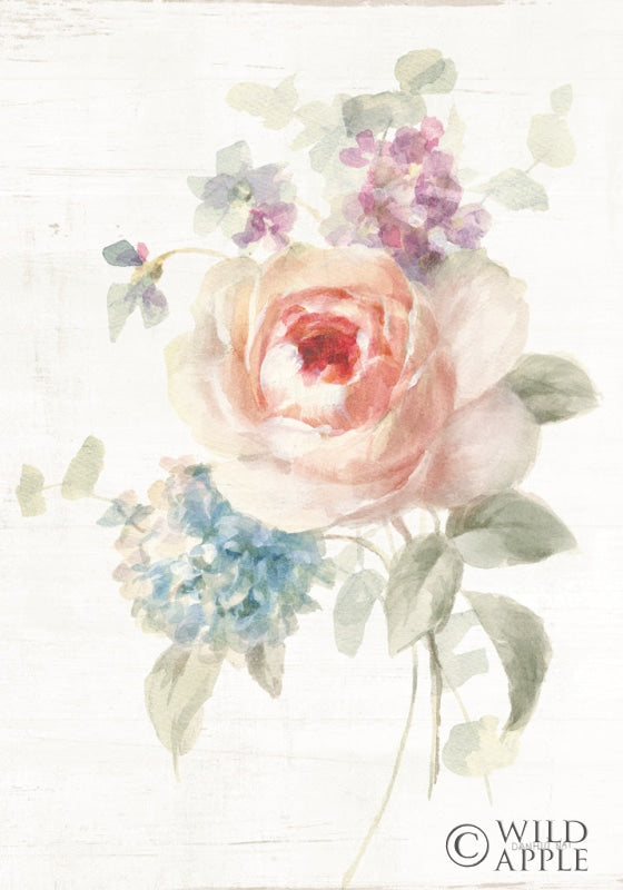 Reproduction of Cottage Garden III v2 by Danhui Nai - Wall Decor Art