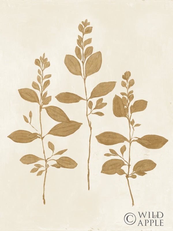 Reproduction of Botanical Study IV Gold Crop by Julia Purinton - Wall Decor Art