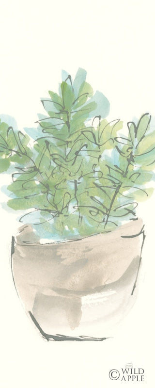 Reproduction of Succulent II Crop by Chris Paschke - Wall Decor Art