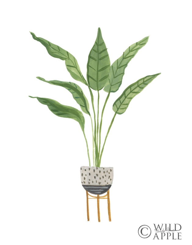 Reproduction of Green House Plants III by Farida Zaman - Wall Decor Art