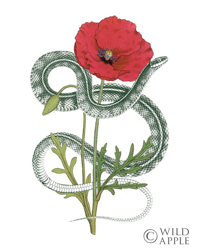 Reproduction of Natural Beauty I by Wild Apple Portfolio - Wall Decor Art