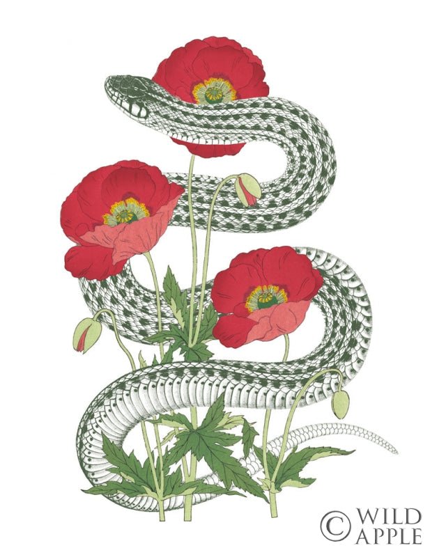 Reproduction of Natural Beauty II by Wild Apple Portfolio - Wall Decor Art