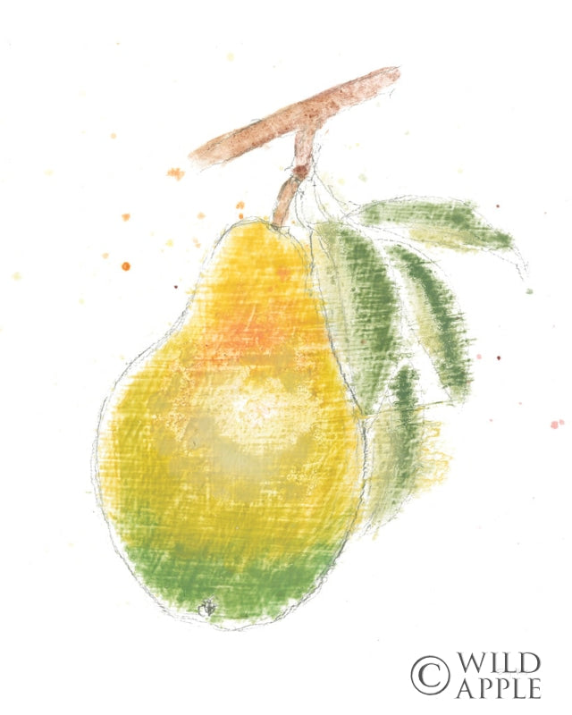 Reproduction of Garden Delight V v2 White by Emily Adams - Wall Decor Art