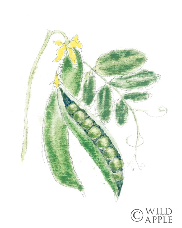 Reproduction of Garden Delight XI v2 White by Emily Adams - Wall Decor Art