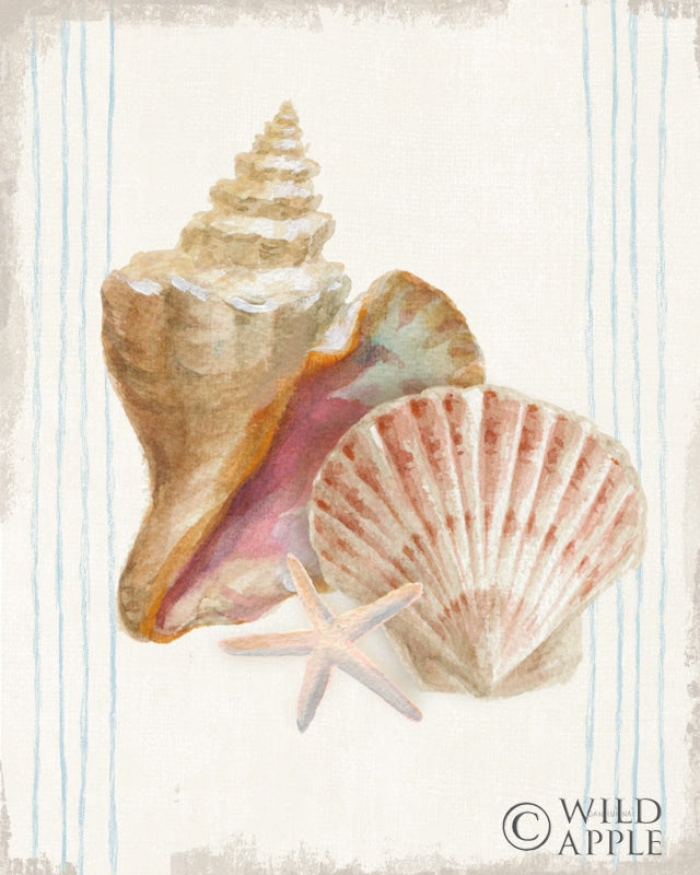 Reproduction of Floursack Nautical XIV by Danhui Nai - Wall Decor Art