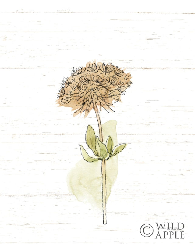 Reproduction of Flowers in Autumn by Beth Grove - Wall Decor Art