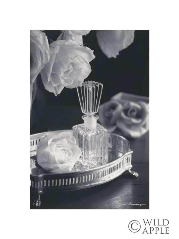 Reproduction of Vintage Vanity I with Border by Debra Van Swearingen - Wall Decor Art