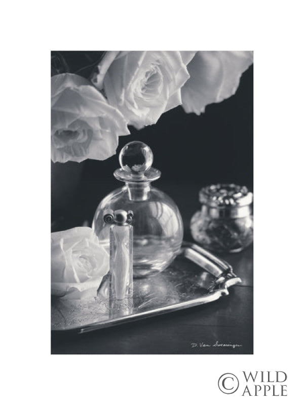 Reproduction of Vintage Vanity III With Border by Debra Van Swearingen - Wall Decor Art