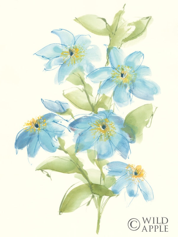 Reproduction of Clematis Bouquet I by Chris Paschke - Wall Decor Art