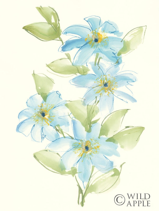 Reproduction of Clematis Bouquet II by Chris Paschke - Wall Decor Art