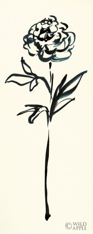 Reproduction of Floral Line II on Cream by Sue Schlabach - Wall Decor Art