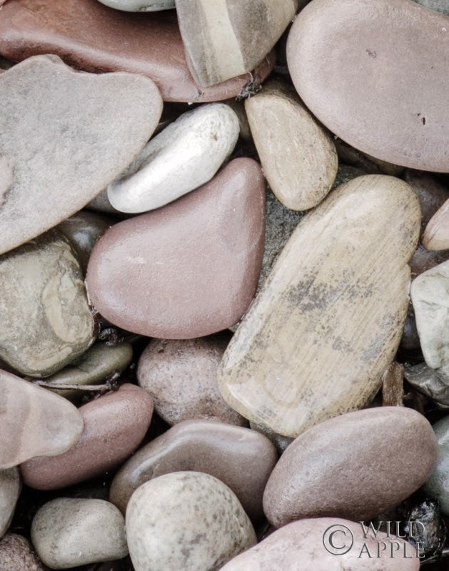 Reproduction of Lake Rocks II by Alan Majchrowicz - Wall Decor Art